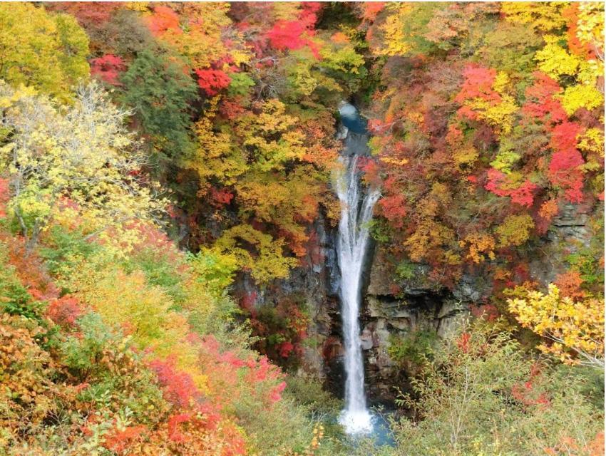 ヴィンテージ那須 Villa Nasu Dış mekan fotoğraf