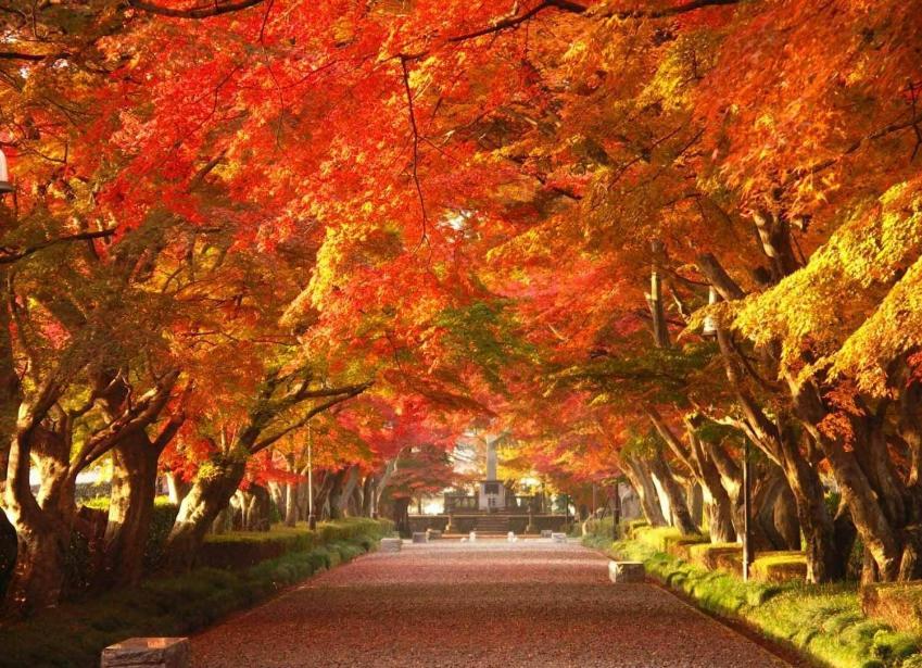 ヴィンテージ那須 Villa Nasu Dış mekan fotoğraf